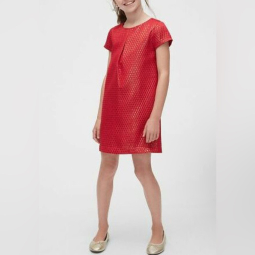 GAP Kids Metallic Pleated Dress in Jacquard Girls Sz XL NWT